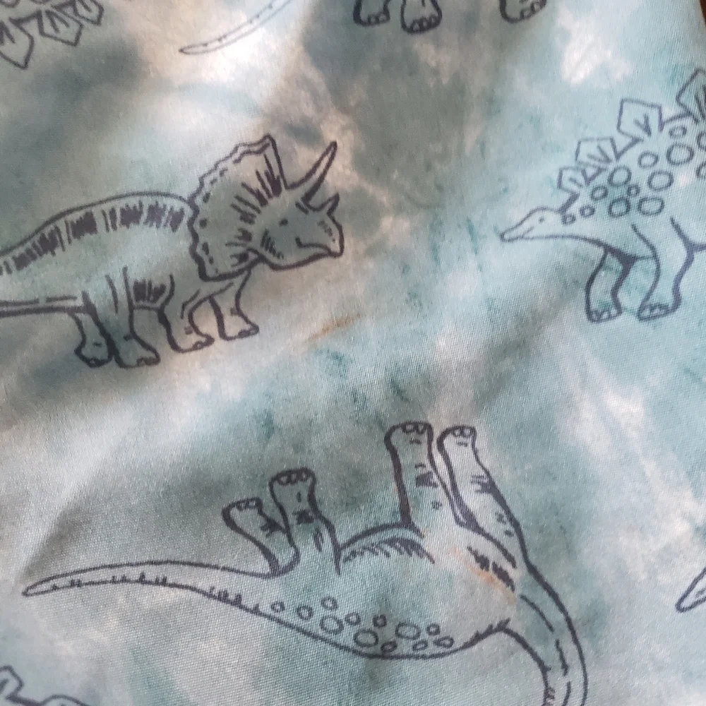 Old Navy Baby Boy 12-18 Months Blue Tie Dye Dinosaur Print Swim Trunks